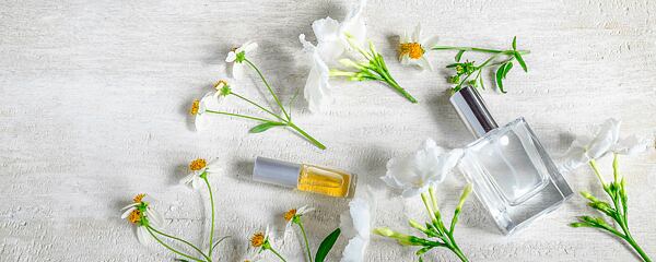 Découvrez le secret des parfums de saison: comment choisir le bon parfum pour chaque saison!