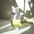 Afnan Rare Carbon Eau de Parfum (Homme) 100 ml