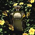 Afnan Highness X Eau de Parfum (Homme) 100 ml