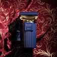 Afnan Historic Olmeda Eau de Parfum (Homme) 100 ml